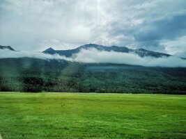 xj_0035.webp