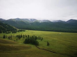 xj_0036.webp