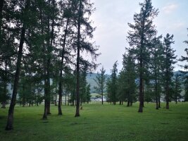 xj_0044.webp