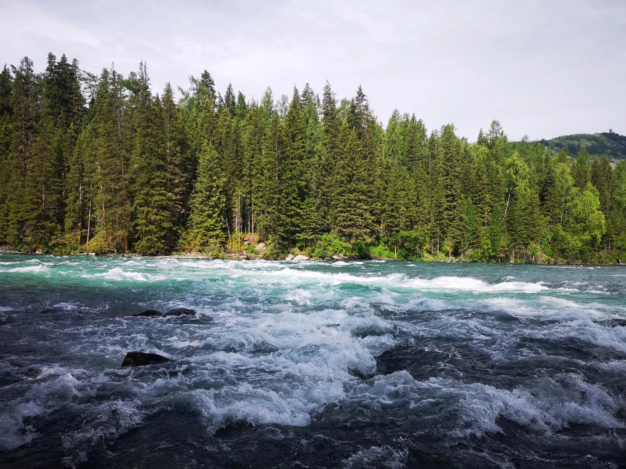 xj_0109.webp