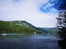 xj_0111.webp