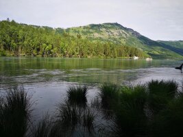 xj_0112.webp