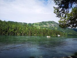 xj_0116.webp