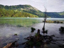 xj_0122.webp