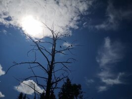 xj_0130.webp