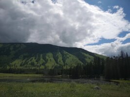 xj_0134.webp