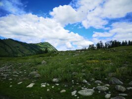 xj_0135.webp