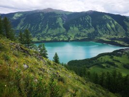 xj_0138.webp