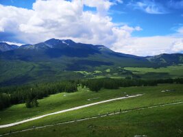 xj_0147.webp