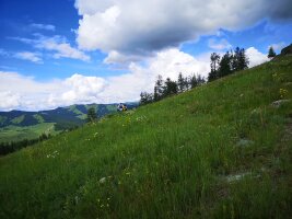xj_0150.webp