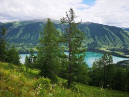 xj_0152.webp