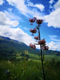 xj_0169.webp