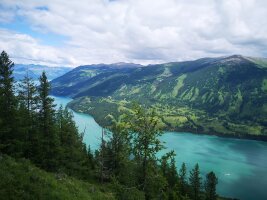 xj_0175.webp