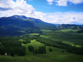 xj_0188.webp