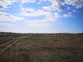 xj_0217.webp