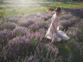 xj_0233.webp