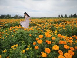 xj_0261.webp