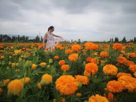 xj_0264.webp