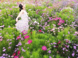 xj_0271.webp