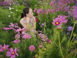xj_0278.webp