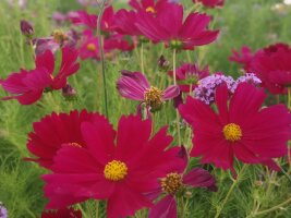 xj_0280.webp