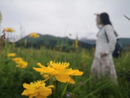 xj_0323.webp
