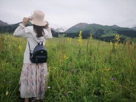 xj_0325.webp