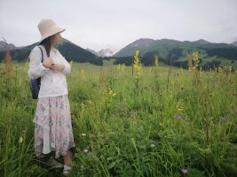 xj_0327.webp
