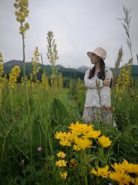 xj_0328.webp