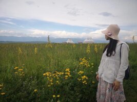 xj_0330.webp
