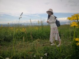 xj_0334.webp