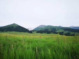 xj_0336.webp