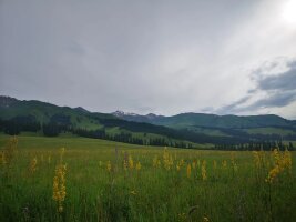 xj_0339.webp