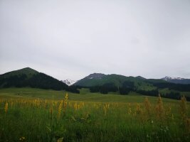 xj_0340.webp