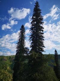 xj_0356.webp