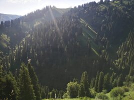 xj_0359.webp
