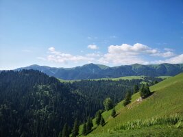 xj_0363.webp