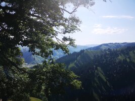 xj_0364.webp