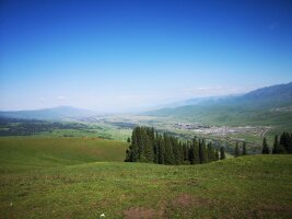 xj_0369.webp