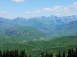 xj_0372.webp