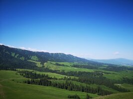 xj_0375.webp
