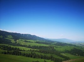 xj_0376.webp
