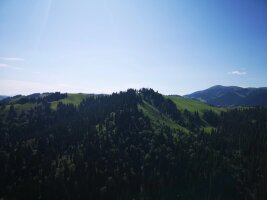 xj_0378.webp