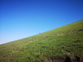 xj_0380.webp