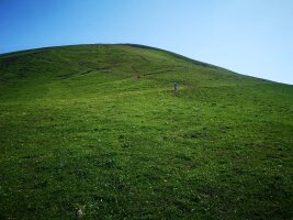 xj_0381.webp
