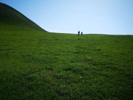 xj_0388.webp