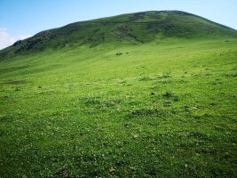 xj_0389.webp