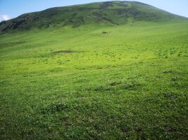xj_0392.webp