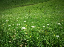 xj_0396.webp