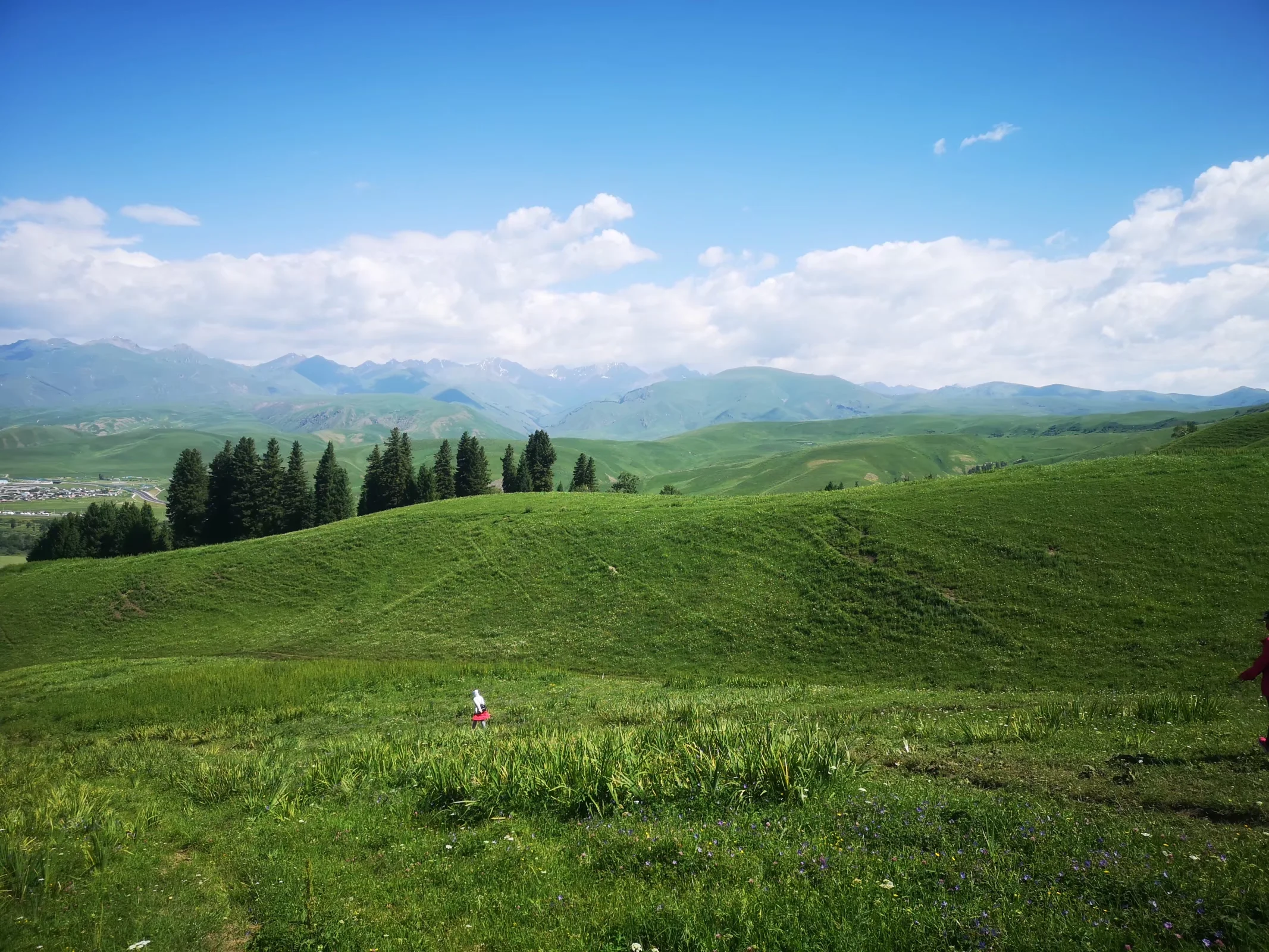 xj_0401.webp